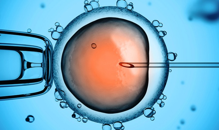 मानव भ्रूण में जीन का संपादन(Gene editing in human embryos)