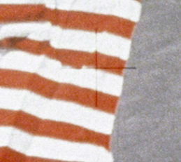 ध्वज का आवर्धित चित्र जिसमे सफ़ेद भाग पर क्रास हेयर दब गया है।