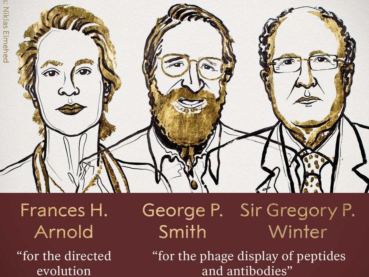 फ्रांसेस अर्नोल्ड (Frances H Arnold), जार्ज स्मिथ (George P Smith) और ब्रिटिश अनुसंधानकर्ता ग्रेगरी विंटर (Gregory P Winter)