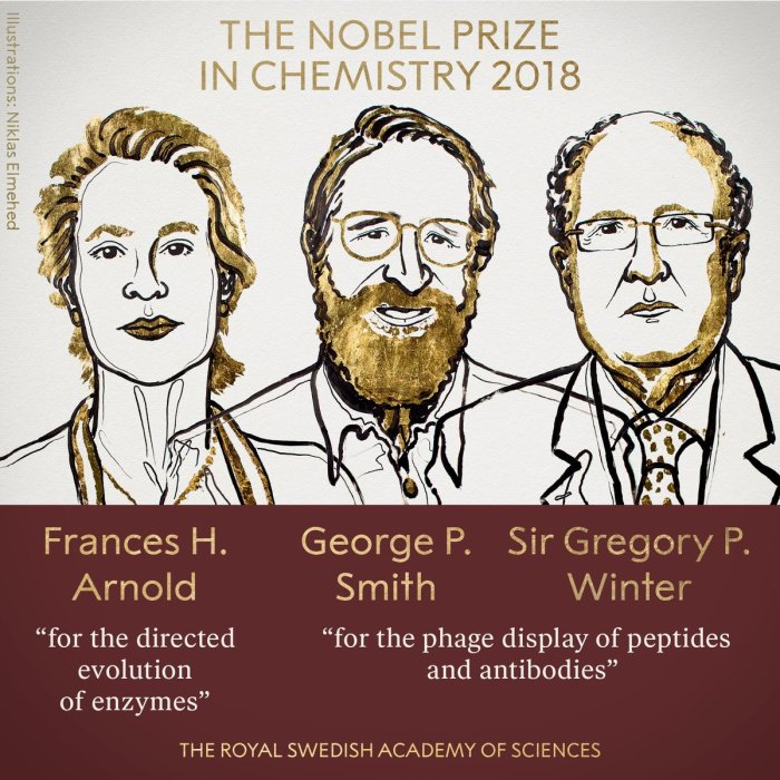  फ्रांसेस अर्नोल्ड (Frances H Arnold), जार्ज स्मिथ (George P Smith) और ब्रिटिश अनुसंधानकर्ता ग्रेगरी विंटर (Gregory P Winter)